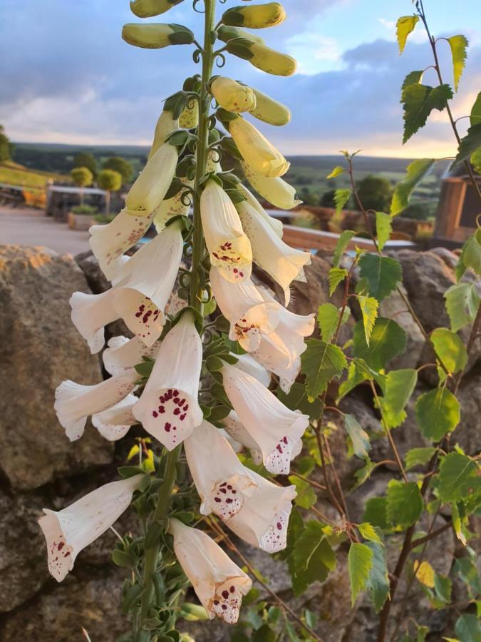 Howgill Farm Bolton Abbey Appletreewick Exterior foto